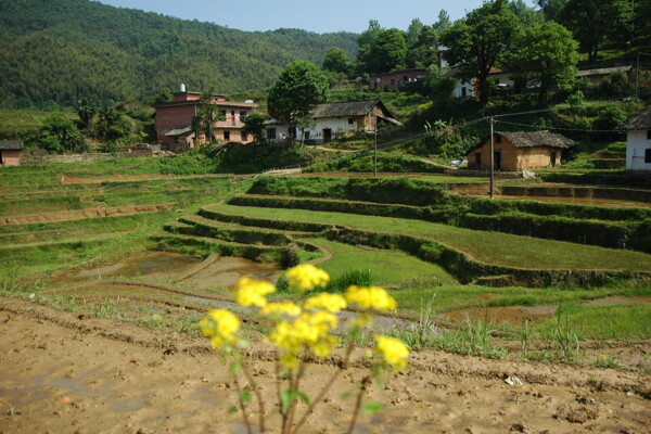 山村图片