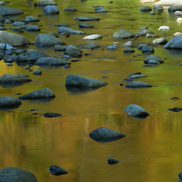 河水中的许多石头图片