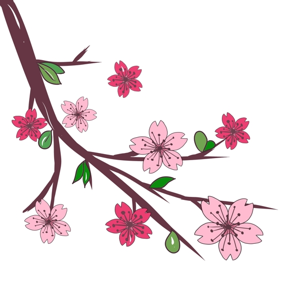 美丽的春天樱花插画