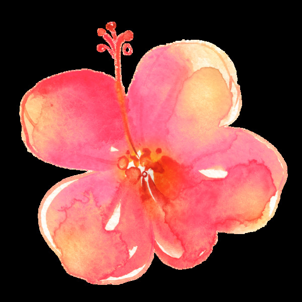 彩绘粉红色高清花朵花瓣素材