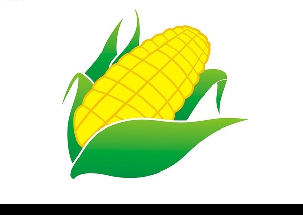玉米矢量图cdr图片