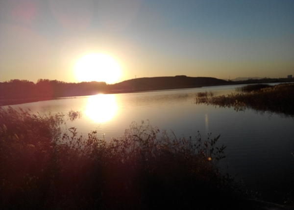 夕阳红图片