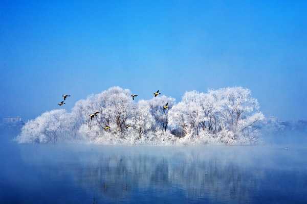 唯美冬季湖泊树林风景图片