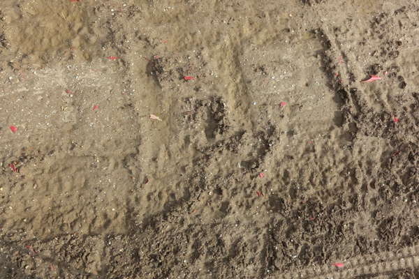 沙石土壤背景图片