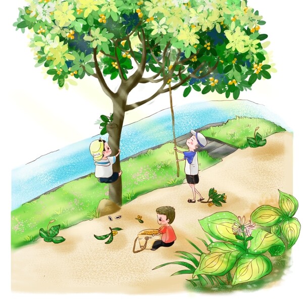 夏天儿童小朋友玩耍爬树摘枇杷小场景元素