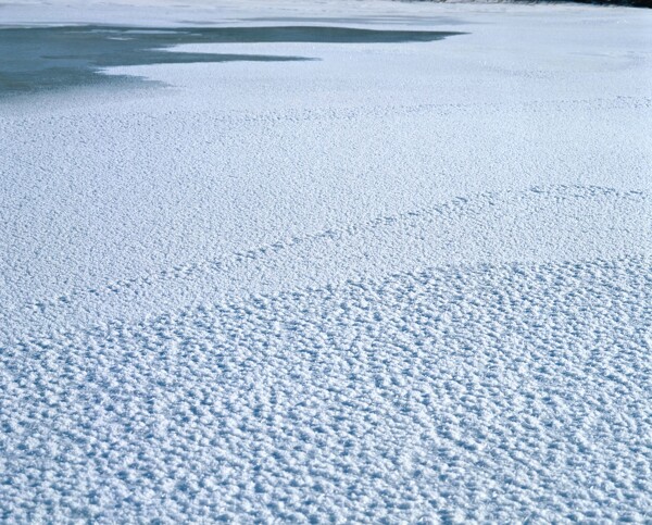 冰冻的河水特写图片
