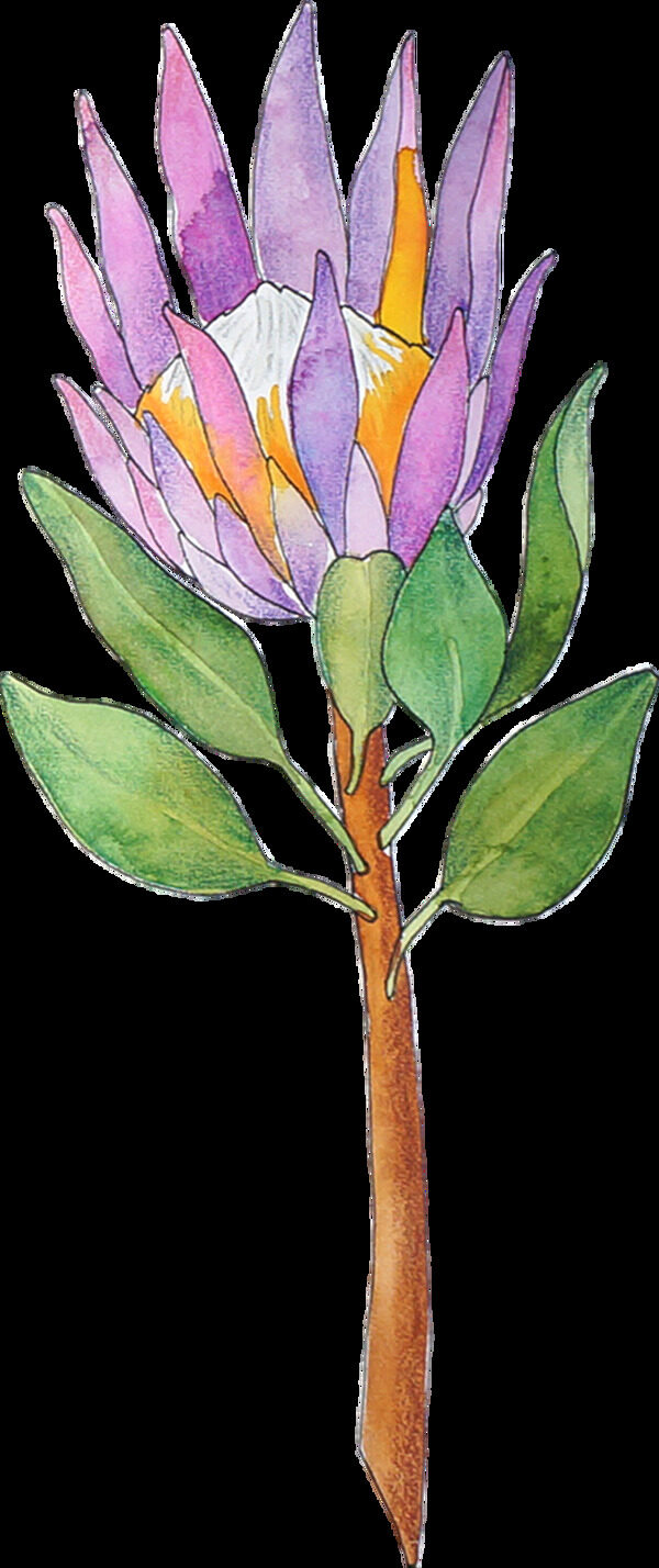 手绘一枝紫色花树枝装饰素材