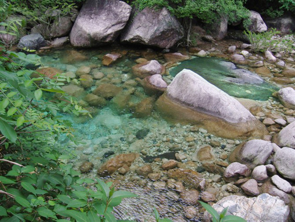 青山绿水清澈的河水小溪