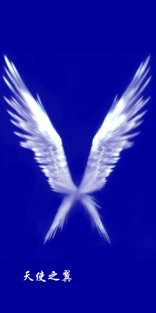 ps分层天使之翼图片
