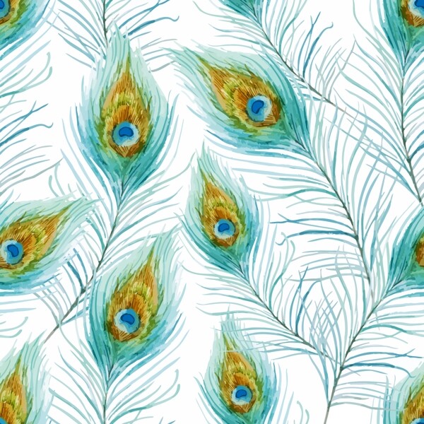 孔雀羽毛背景花纹图片