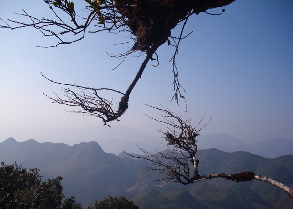 高山风景图片