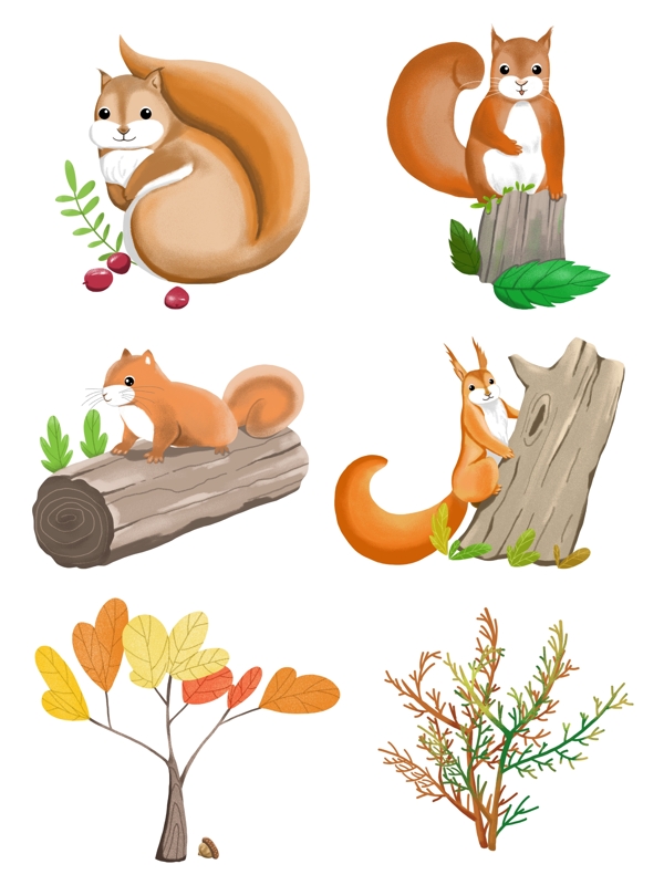 秋季小松鼠手绘风可爱卡通