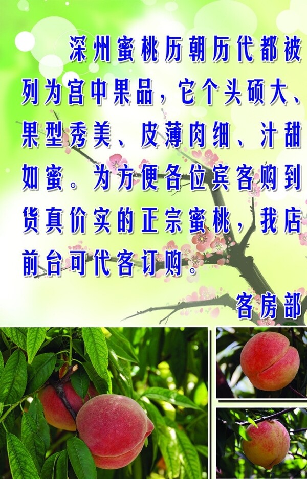 深州蜜桃图片