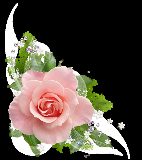 精致的玫瑰花花朵元素素材