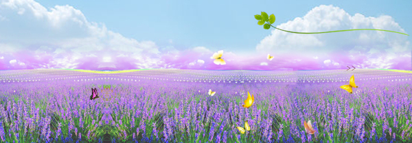 紫色梦幻花园淘宝海报背景