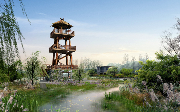 湿地上的观景塔图片
