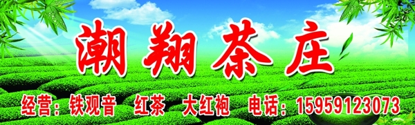 茶叶茶庄