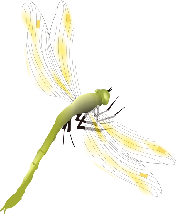 飞行类昆虫蜻蜓插画