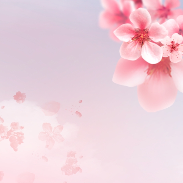 粉色玫瑰花朵母亲节PSD分层主图背景素材