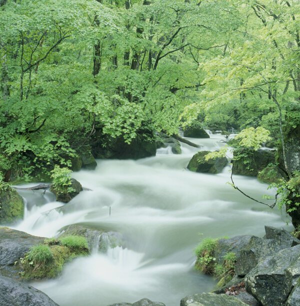 河流绿树岩石自然景色图片