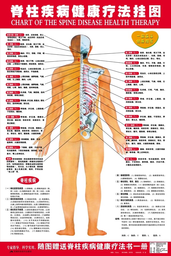 脊柱疾病健康疗法挂图图片