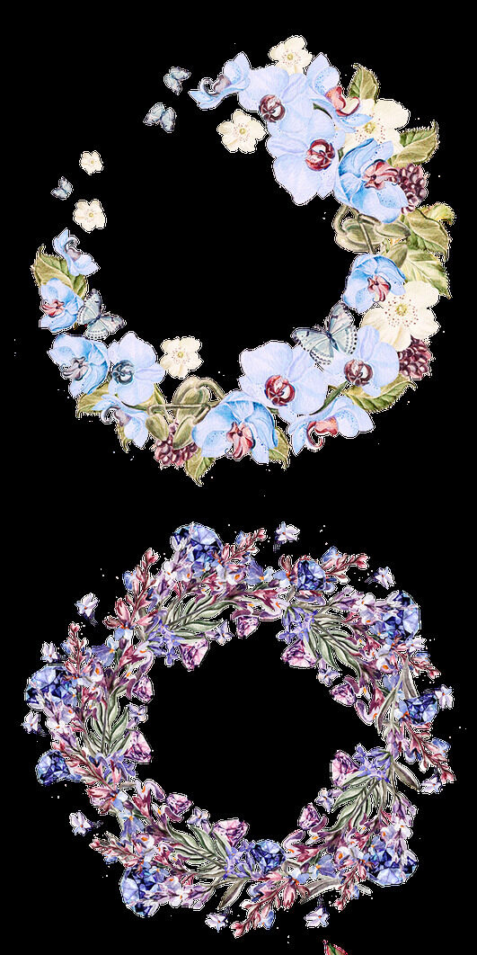 清淡素雅的各种花卉花环透明装饰素材