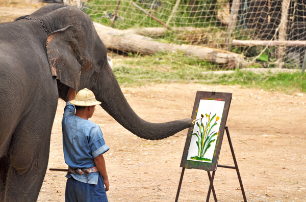 画画的大象图片