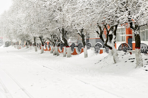 雪乡图片