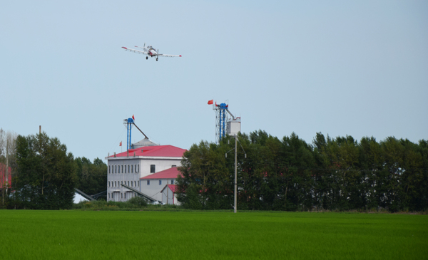 现代农业水稻飞机喷图片
