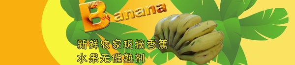 香蕉广告图图片