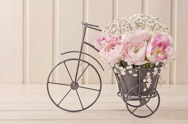 自行车上的花朵图片