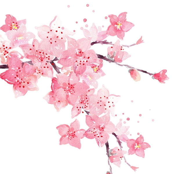 樱花节装饰樱花枝元素