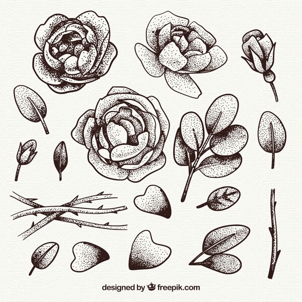 手绘玫瑰叶子插图集合