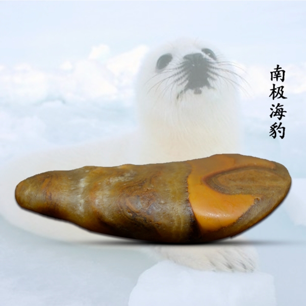 南极海豹主图奇石石头