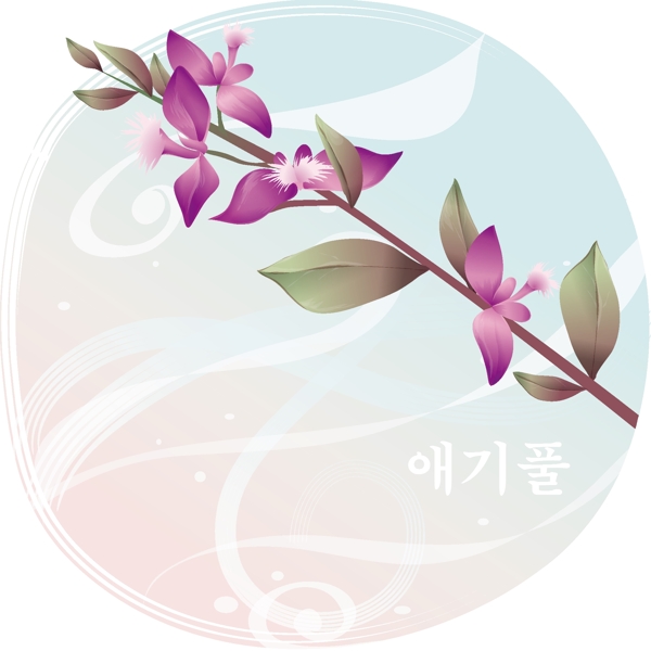 韩国素材紫色小花