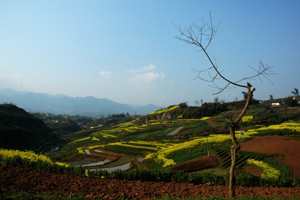 川东风情图片