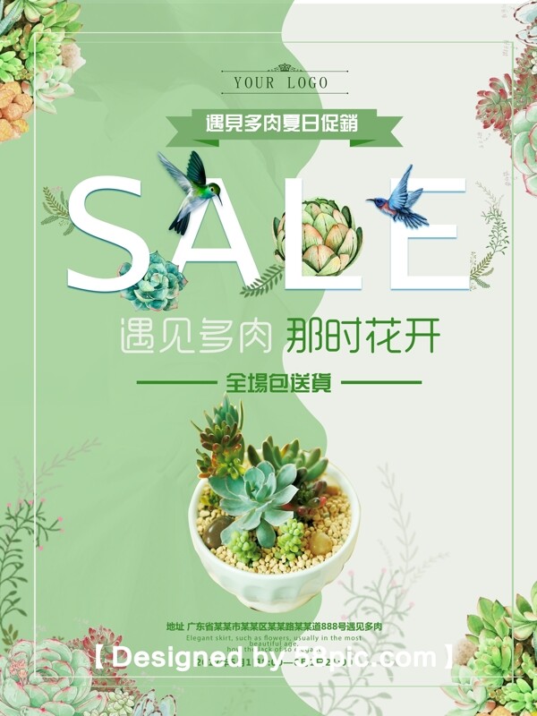 简约多肉植物促销清仓海报