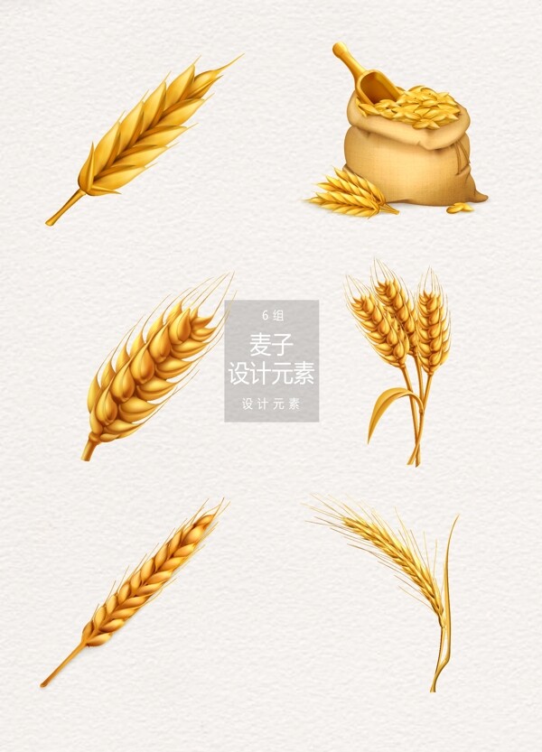 金色麦子麦穗矢量设计元素