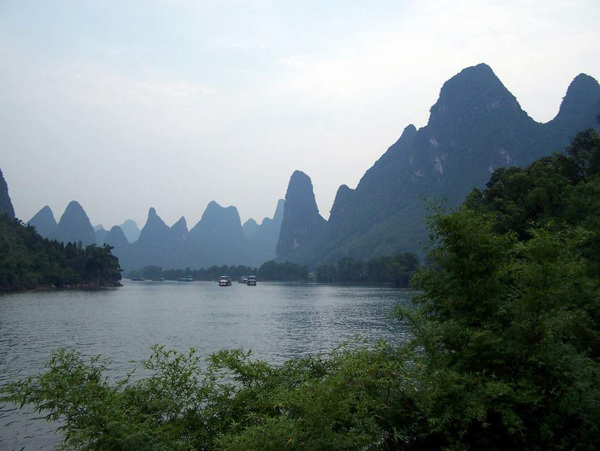 树植物水风景