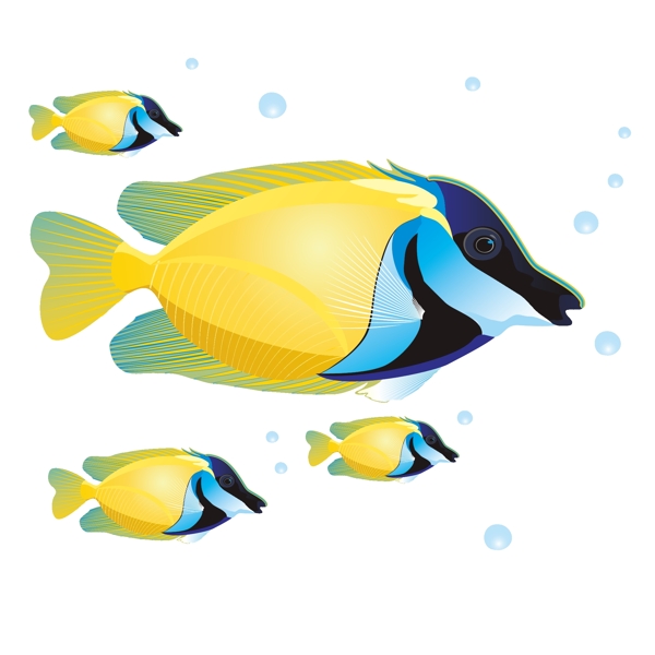 印花矢量图动物鱼海洋生物色彩免费素材