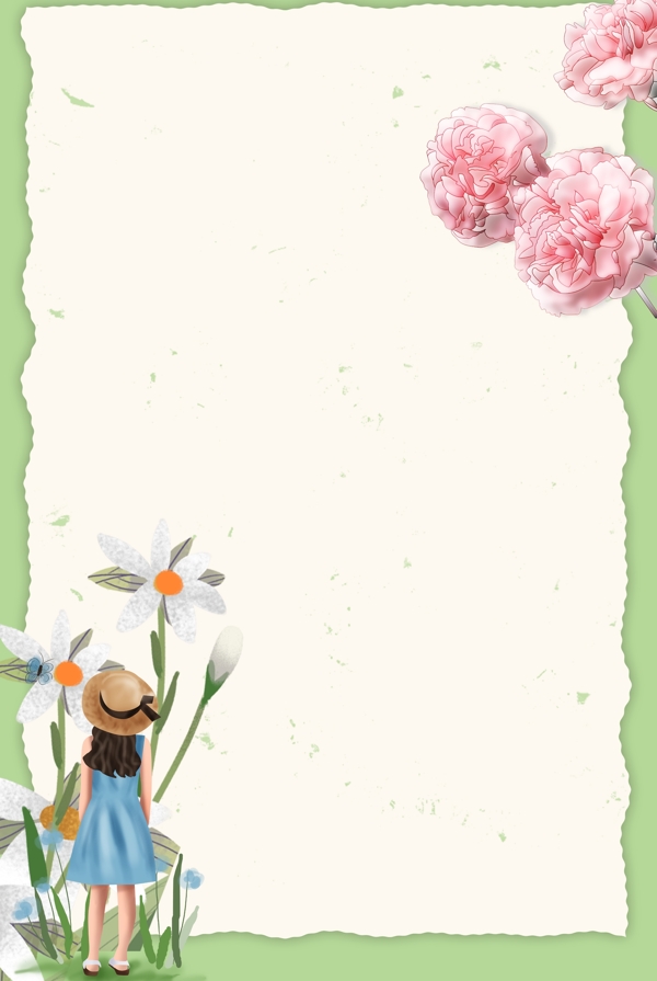 康乃馨花卉背景图片