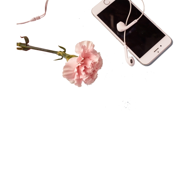 鲜花和手机