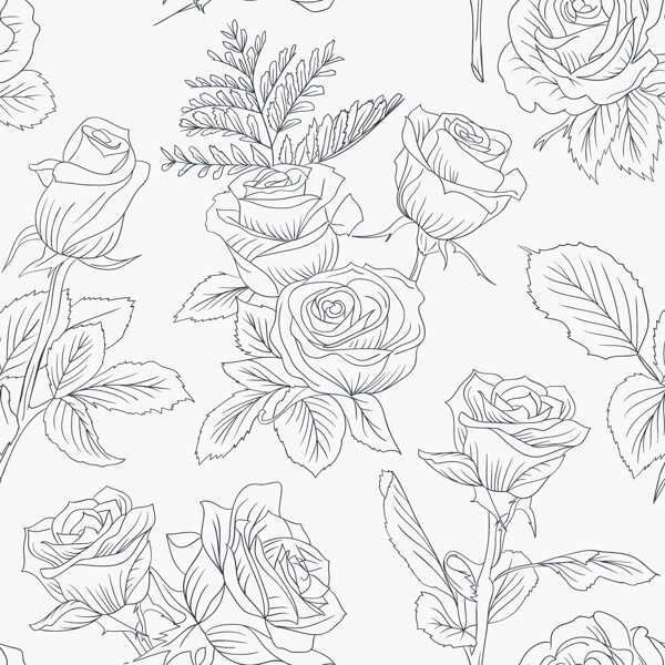 手绘春季玫瑰花线稿插图