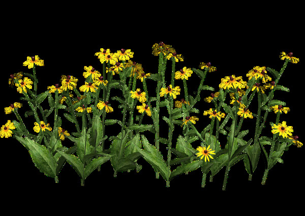 黄色绿叶菊花免抠png透明图层素材