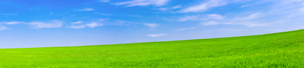 蓝天白云下的大草原全景图片