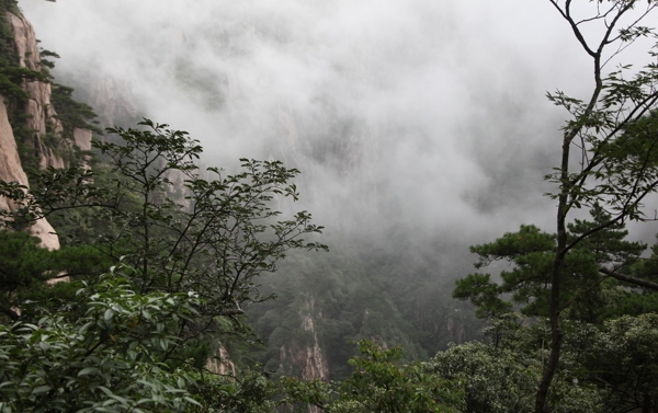 黄山风光图片