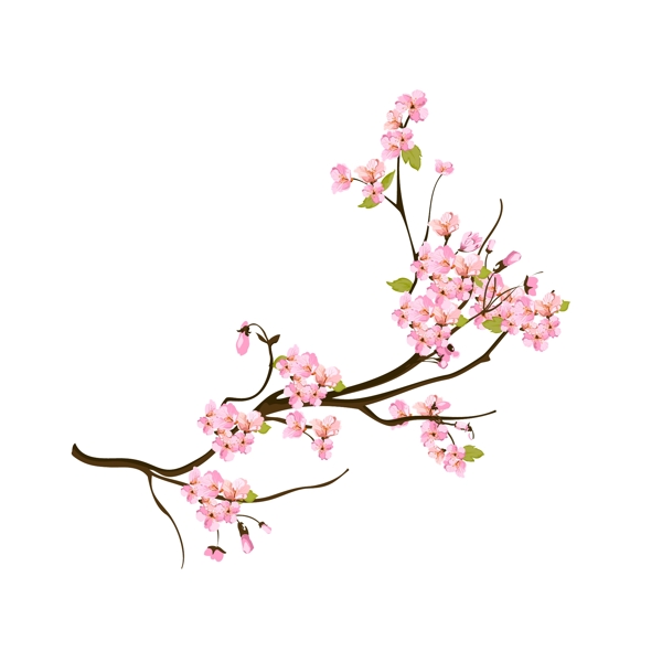 手绘写实风装饰春天桃花花卉