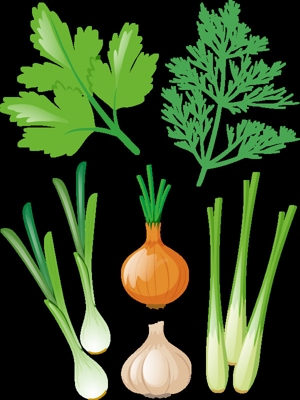 各种蔬菜免抠png透明图层素