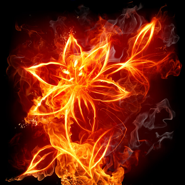 花朵火焰