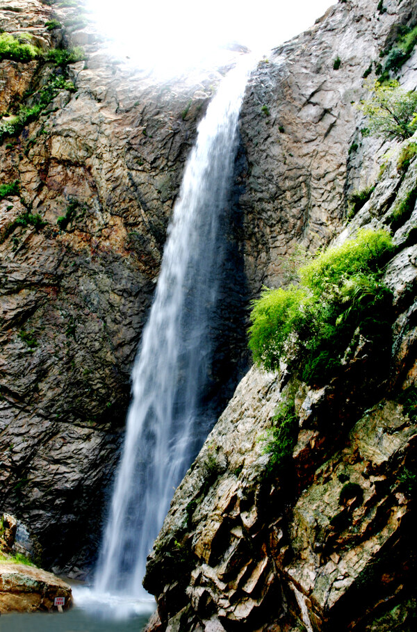 树植物水风景山